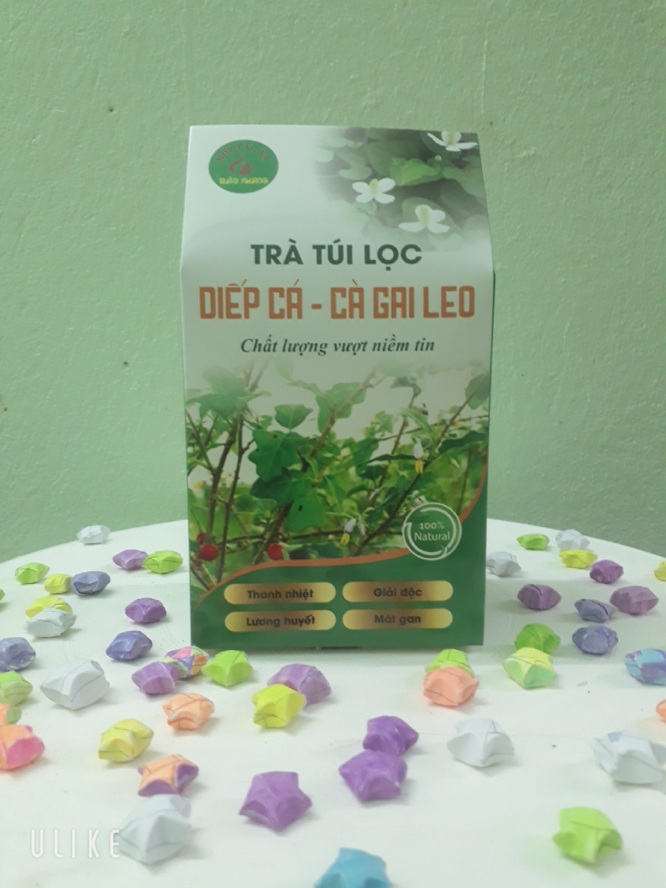 Diếp cá - cà gai leo (hộp 50 túi lọc)